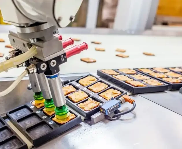 Robot in Food Processing