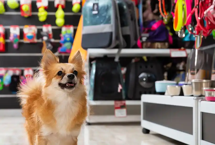 Pet Industry Challenges