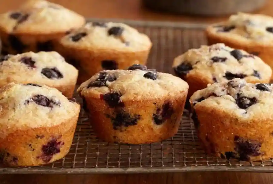 Muffin recipe