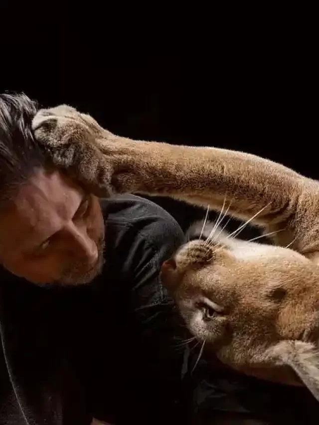 Training Unconventional Pets