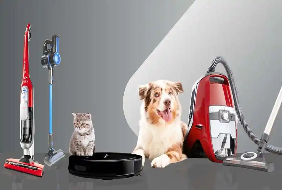 Furniture Vacuums for Pets