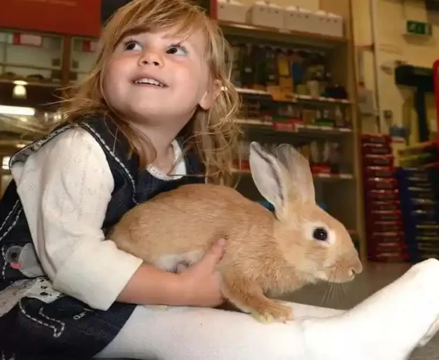 Training Unconventional Pets