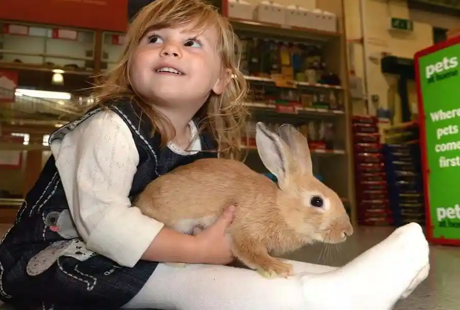 Training Unconventional Pets