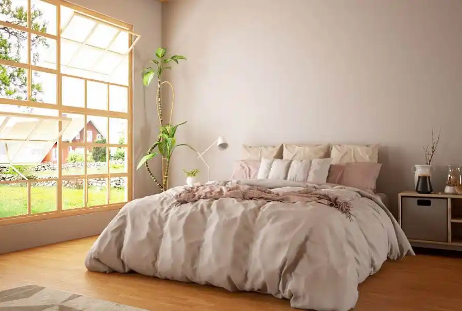 serene and soothing bedroom