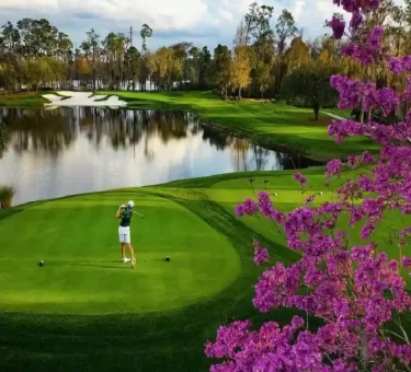 Florida's top golf courses