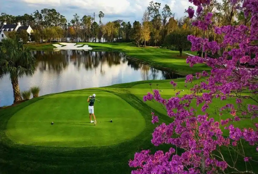 Florida's top golf courses